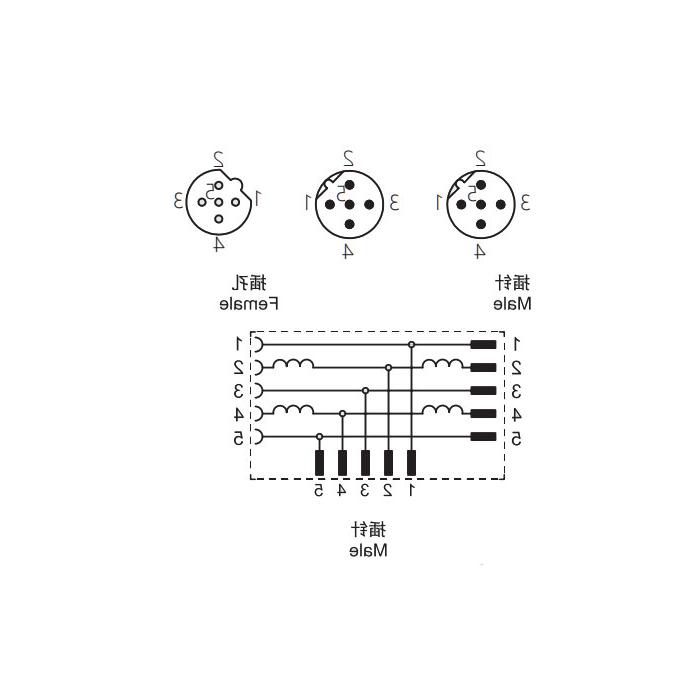 M12 5Pin female /2M12 5Pin male, B-coded, T-type connector, 0C5555